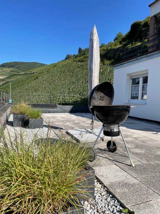 Апартаменты The Vineyard View Целль-ан-дер-Мозель Экстерьер фото